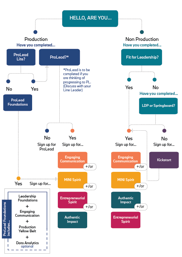 iLead Learning Journey